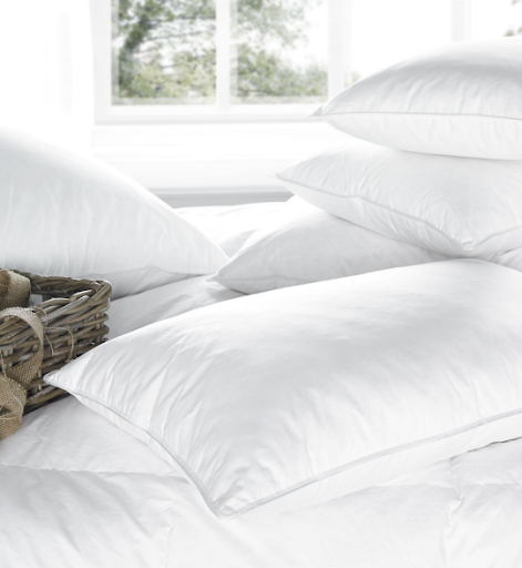 White European Duck Down Pillows